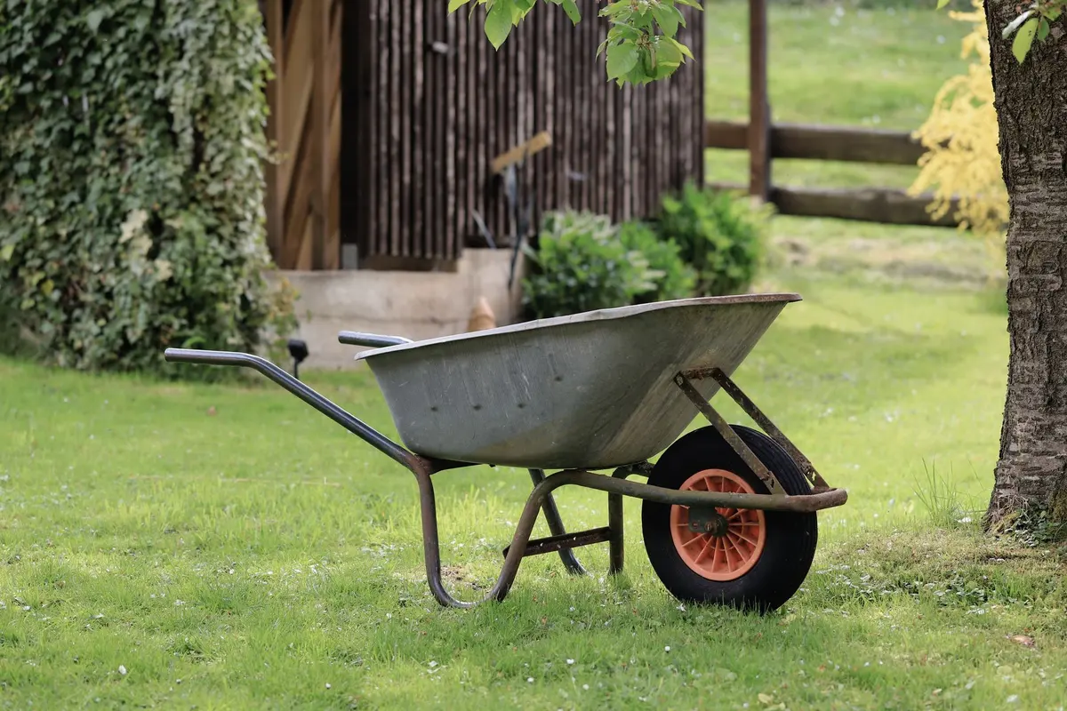 Yard repair in Bakersfield, CA: wheelbarrow and tools on a lawn